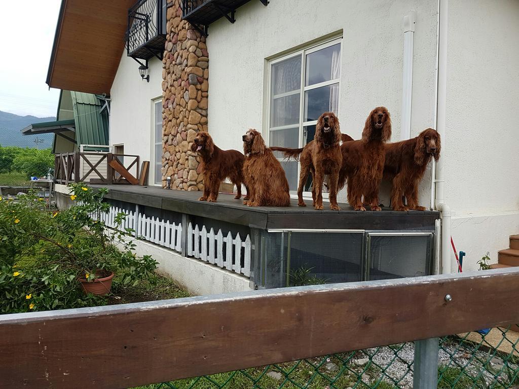 Hou Niao Fei Xing B&B Taiping  Exteriör bild